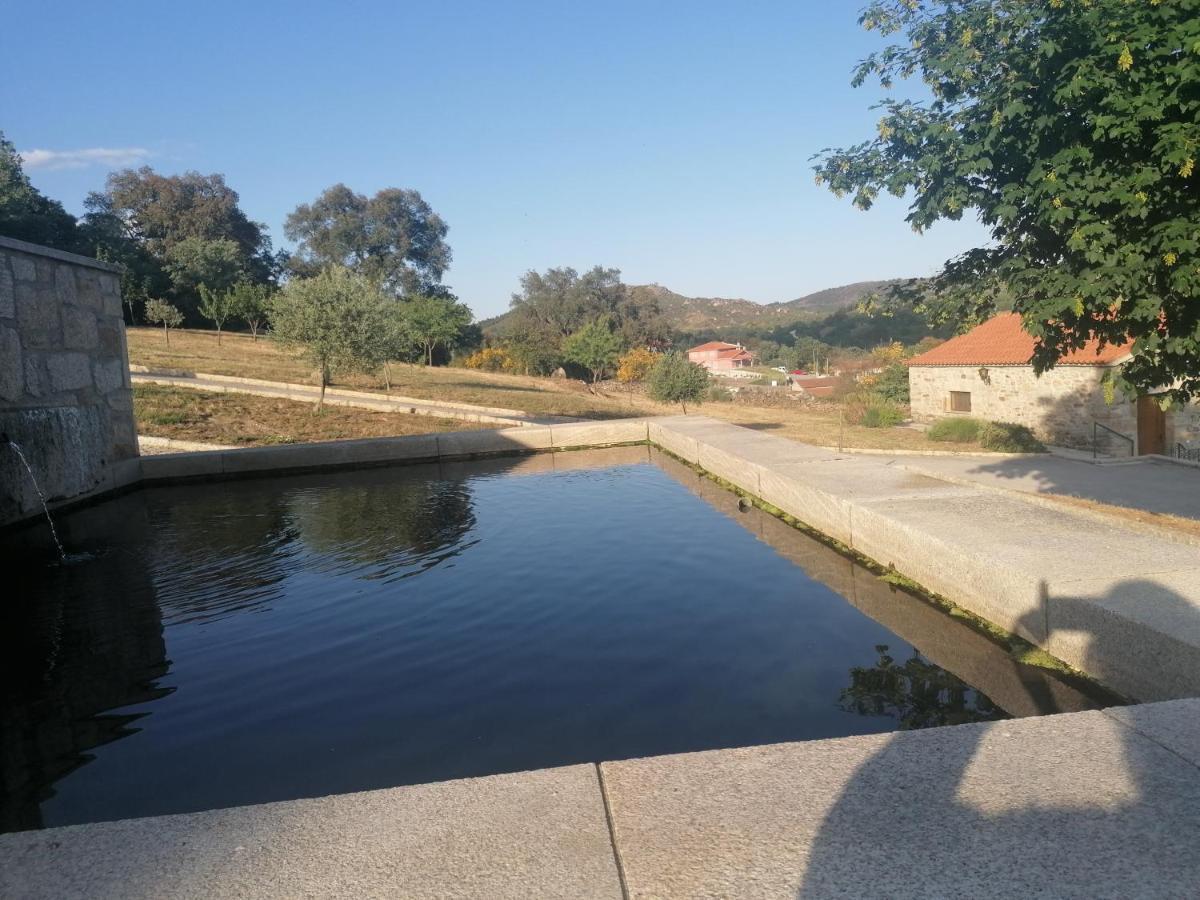 Lirios Da Granja - Casa De Campo 외부 사진