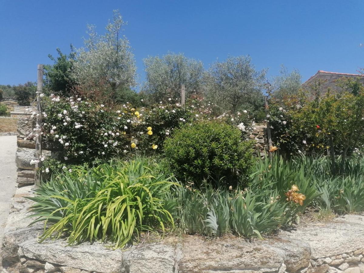Lirios Da Granja - Casa De Campo 외부 사진