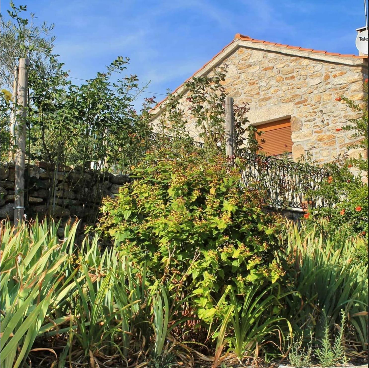 Lirios Da Granja - Casa De Campo 외부 사진
